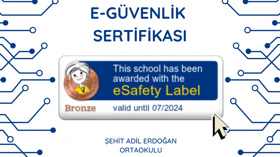  Okulumuz  E-Safety Label Bronz Etiket Almıştır